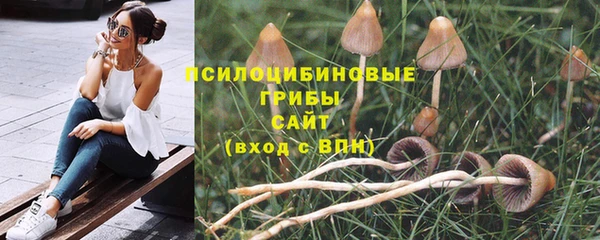 скорость Белокуриха