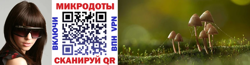 Псилоцибиновые грибы мицелий  Озёрск 